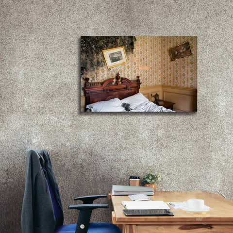 Image of 'Mold Bedroom' by Roman Robroek Giclee Canvas Wall Art,40 x 26