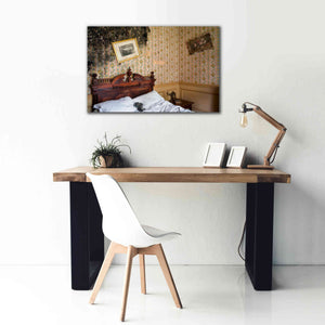 'Mold Bedroom' by Roman Robroek Giclee Canvas Wall Art,40 x 26