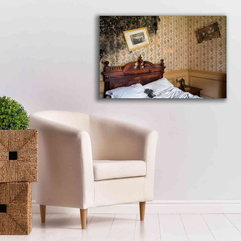 Image of 'Mold Bedroom' by Roman Robroek Giclee Canvas Wall Art,40 x 26