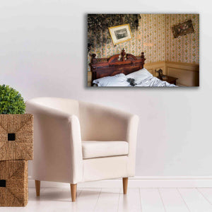 'Mold Bedroom' by Roman Robroek Giclee Canvas Wall Art,40 x 26