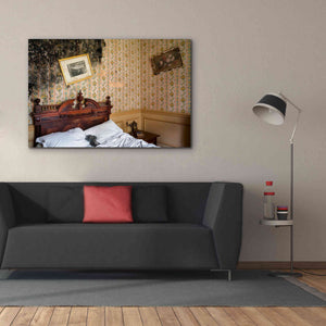 'Mold Bedroom' by Roman Robroek Giclee Canvas Wall Art,60 x 40