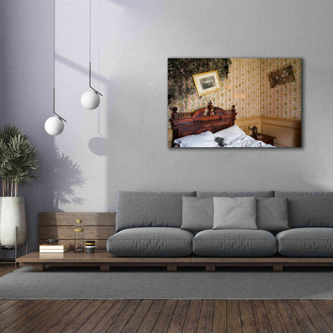 Image of 'Mold Bedroom' by Roman Robroek Giclee Canvas Wall Art,60 x 40