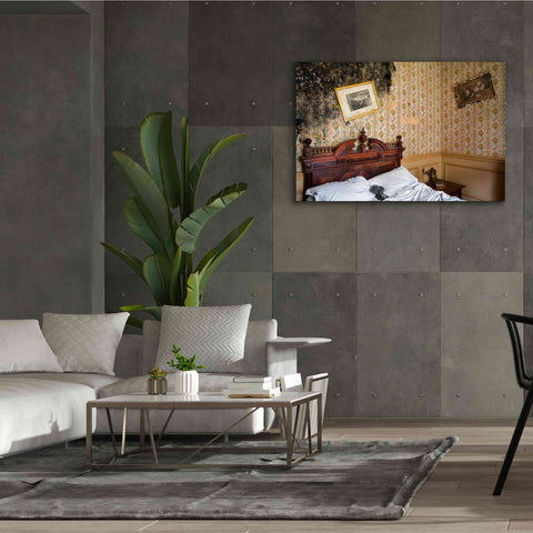Image of 'Mold Bedroom' by Roman Robroek Giclee Canvas Wall Art,60 x 40