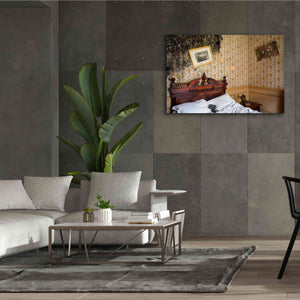 'Mold Bedroom' by Roman Robroek Giclee Canvas Wall Art,60 x 40