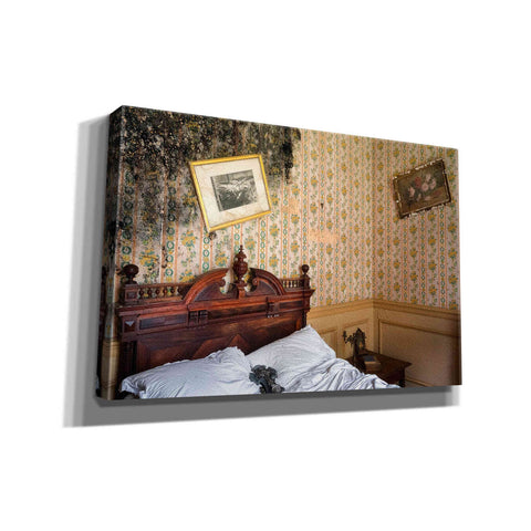 Image of 'Mold Bedroom' by Roman Robroek Giclee Canvas Wall Art
