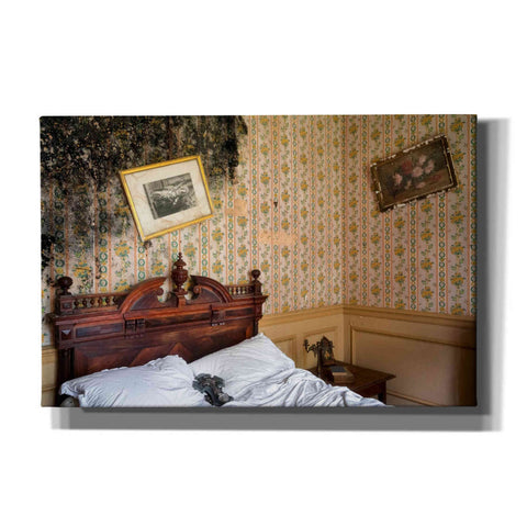Image of 'Mold Bedroom' by Roman Robroek Giclee Canvas Wall Art