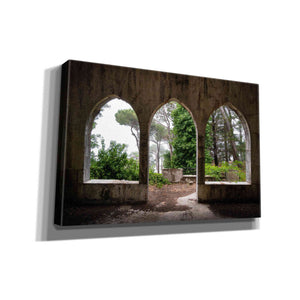 'Tripple Arches' by Roman Robroek Giclee Canvas Wall Art