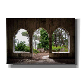 'Tripple Arches' by Roman Robroek Giclee Canvas Wall Art