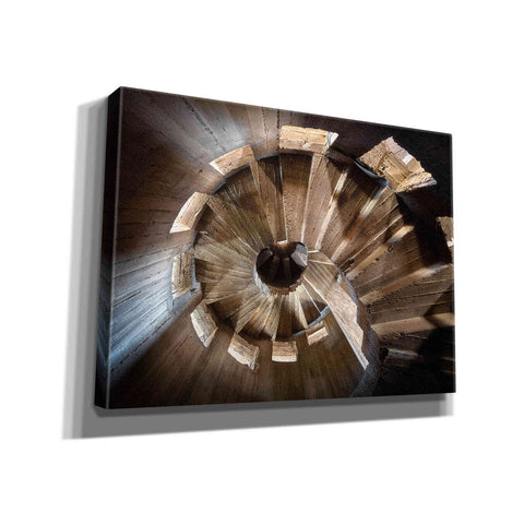 Image of 'Shadow In The Staircase' by Roman Robroek Giclee Canvas Wall Art
