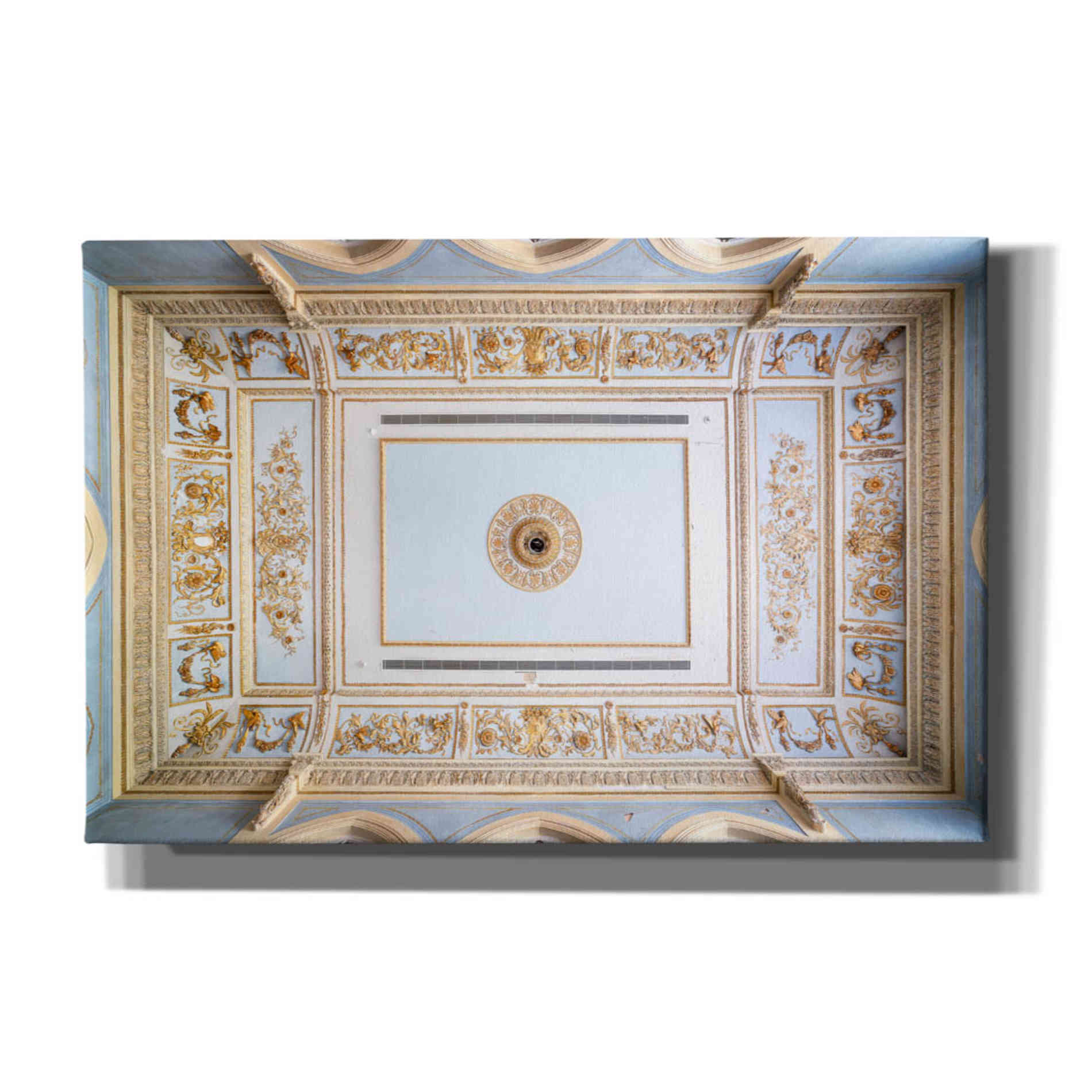 'Quantum Ceiling' by Roman Robroek Giclee Canvas Wall Art
