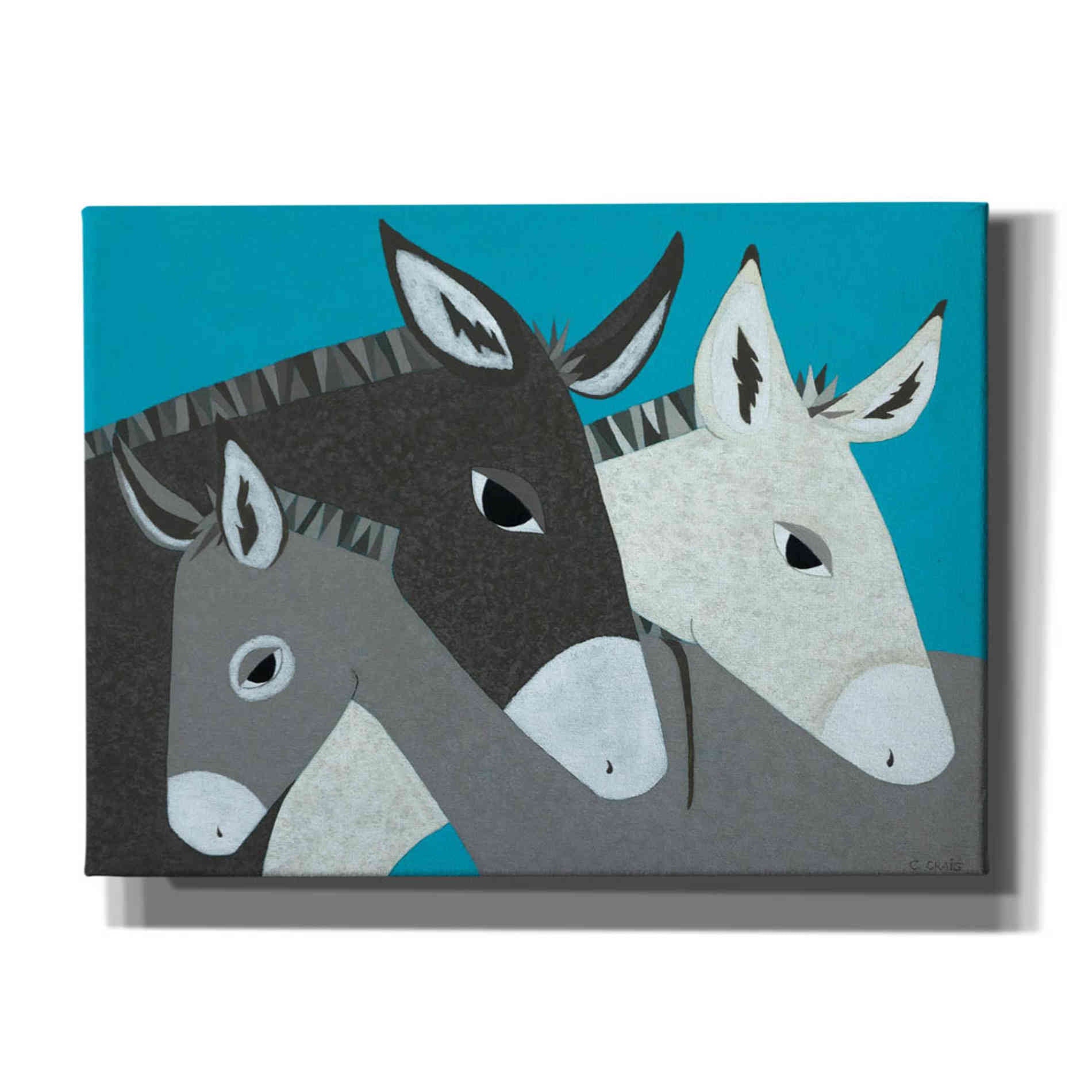 'Donkey Family by Casey Craig Giclee Canvas Wall Art