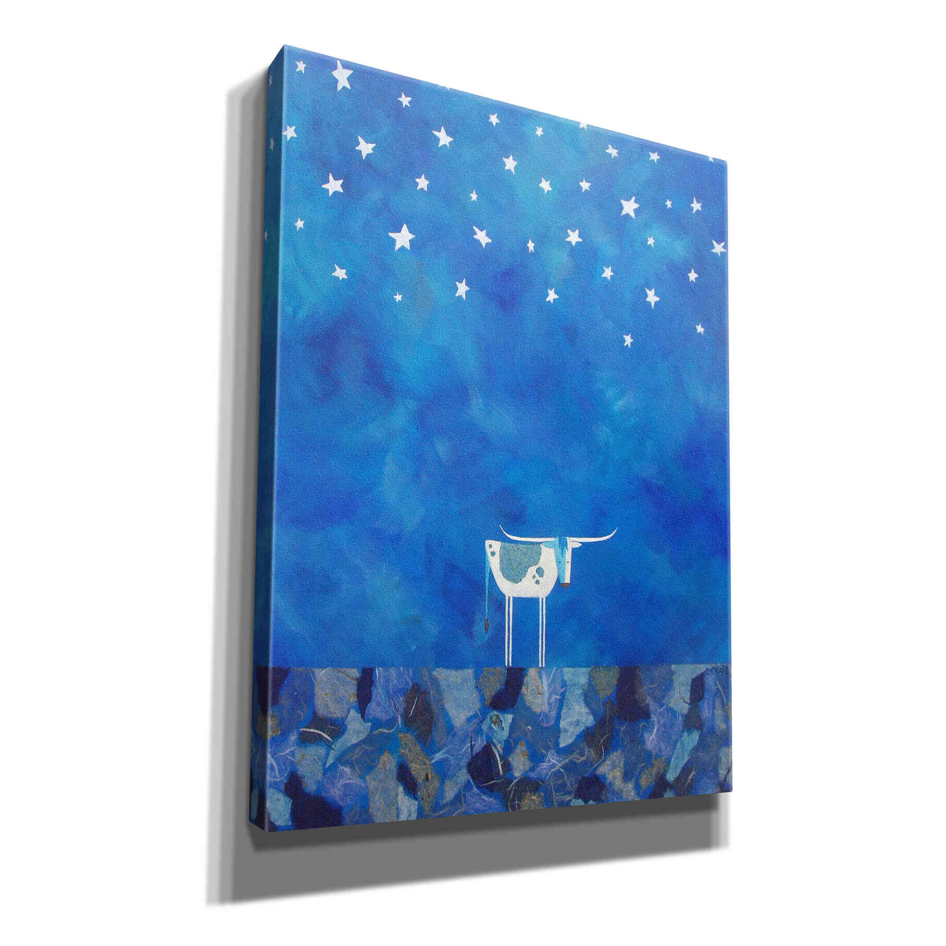 'Stars at Night by Casey Craig Giclee Canvas Wall Art