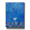 'Stars at Night by Casey Craig Giclee Canvas Wall Art