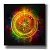 Epic Graffiti'Cosmos Better Than Gold' by Epic Portfolio Giclee Canvas Wall Art