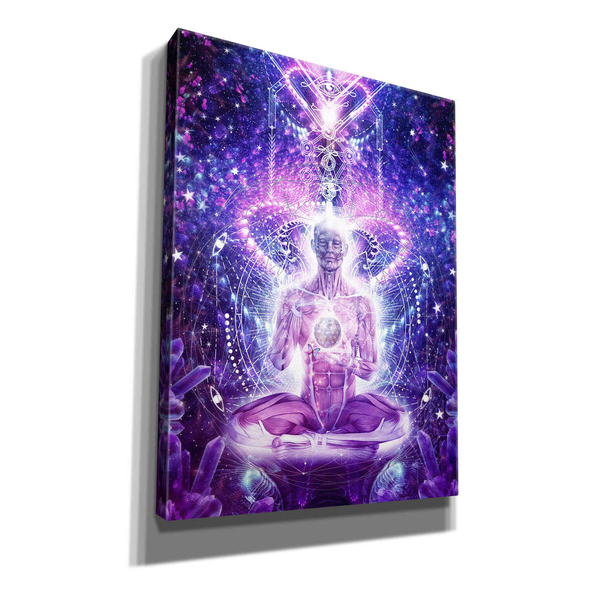 'Balanced Self' by Cameron Gray Giclee Canvas Wall Art
