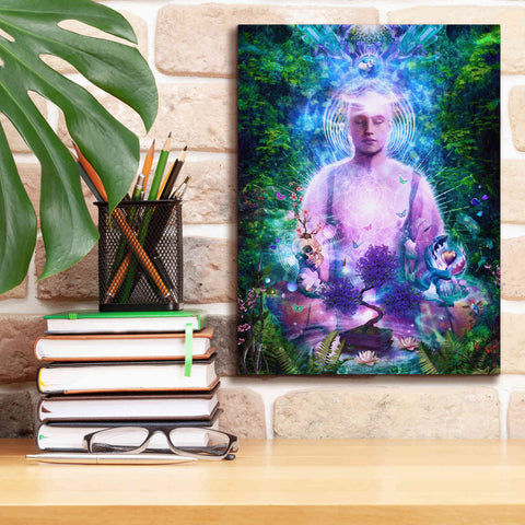 Image of 'Daily Meditation' by Cameron Gray Giclee Canvas Wall Art,12 x 16