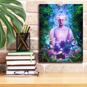'Daily Meditation' by Cameron Gray Giclee Canvas Wall Art,12 x 16
