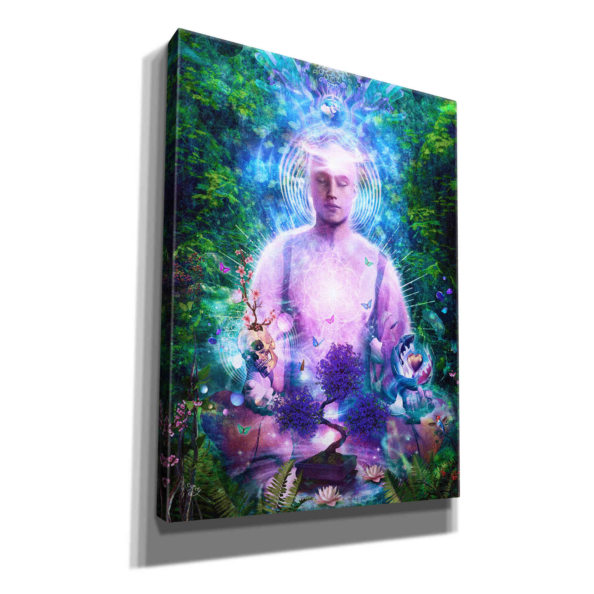 'Daily Meditation' by Cameron Gray Giclee Canvas Wall Art