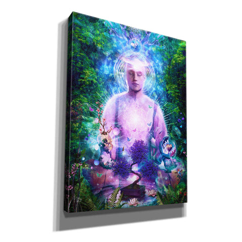 Image of 'Daily Meditation' by Cameron Gray Giclee Canvas Wall Art