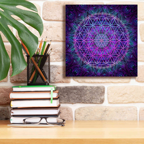 Image of 'Flower Of Life' by Cameron Gray Giclee Canvas Wall Art,12 x 12