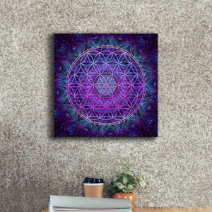 'Flower Of Life' by Cameron Gray Giclee Canvas Wall Art,18 x 18