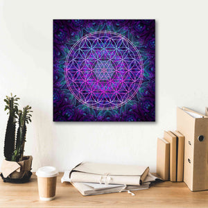 'Flower Of Life' by Cameron Gray Giclee Canvas Wall Art,18 x 18
