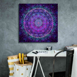 'Flower Of Life' by Cameron Gray Giclee Canvas Wall Art,26 x 26