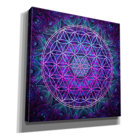 Image of 'Flower Of Life' by Cameron Gray Giclee Canvas Wall Art