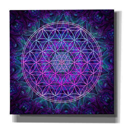 Image of 'Flower Of Life' by Cameron Gray Giclee Canvas Wall Art