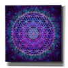 'Flower Of Life' by Cameron Gray Giclee Canvas Wall Art