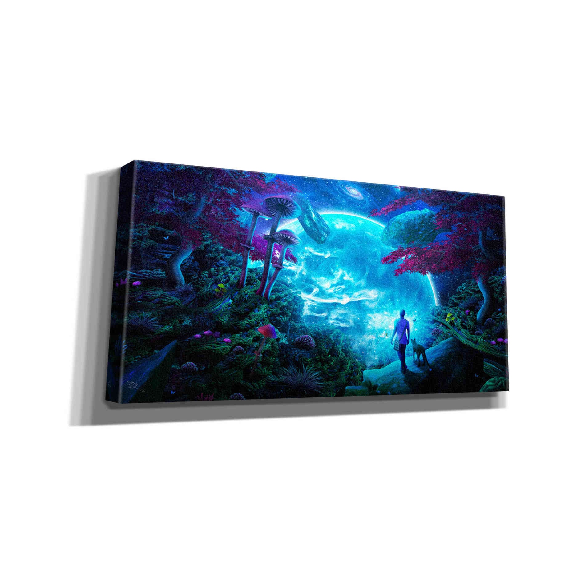 'Lost Sky' by Cameron Gray Giclee Canvas Wall Art