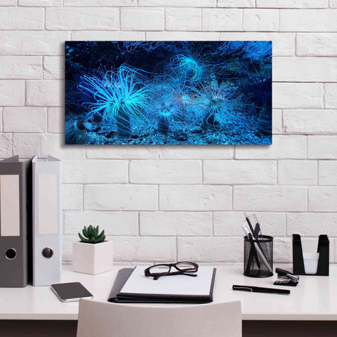 Image of 'Anemone Jungle' by Epic Portfolio, Giclee Canvas Wall Art,24x12
