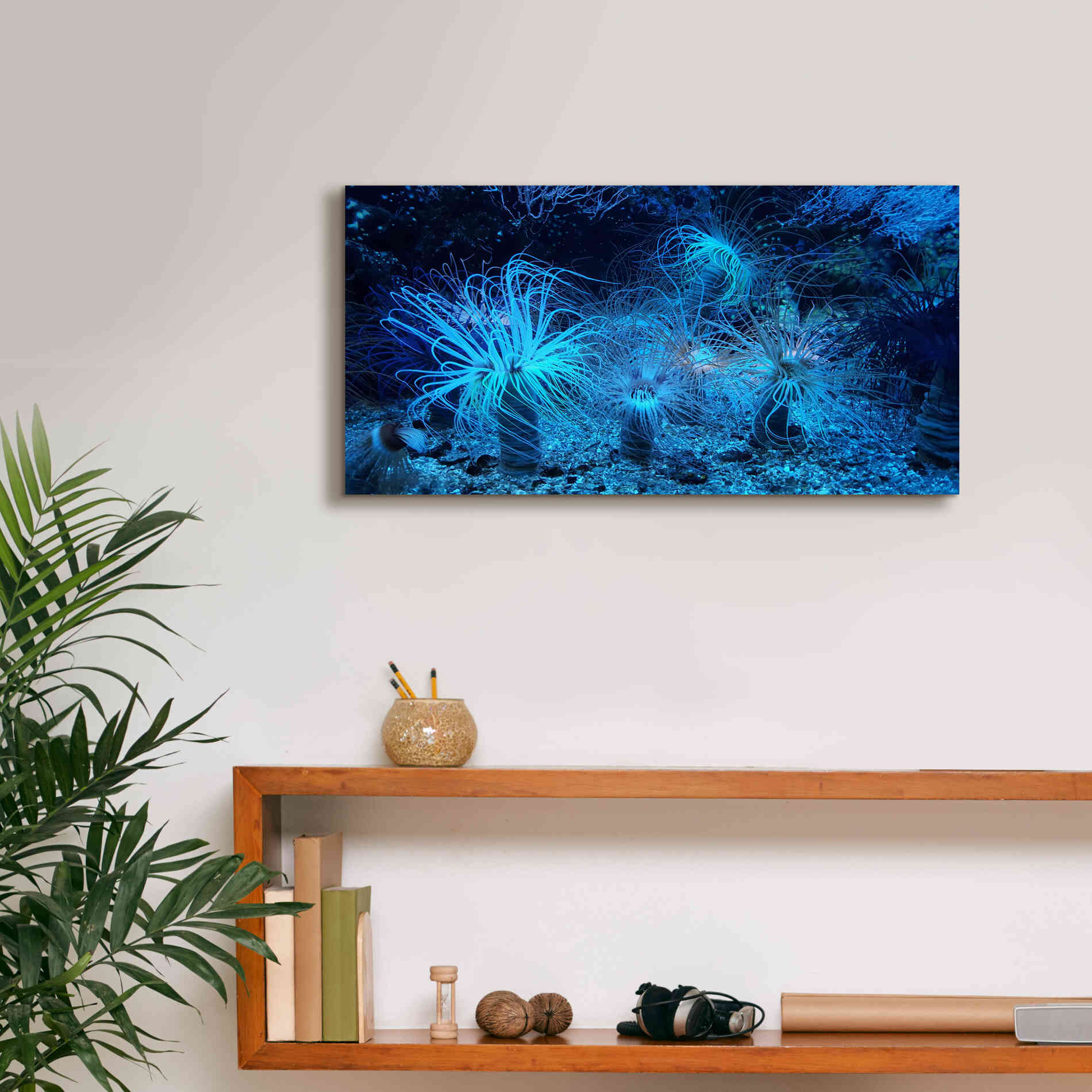 'Anemone Jungle' by Epic Portfolio, Giclee Canvas Wall Art,24x12