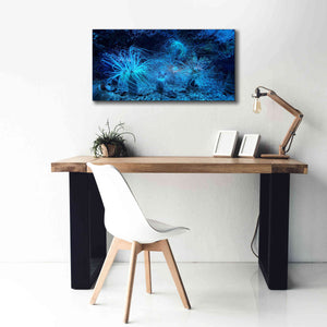 'Anemone Jungle' by Epic Portfolio, Giclee Canvas Wall Art,40x20