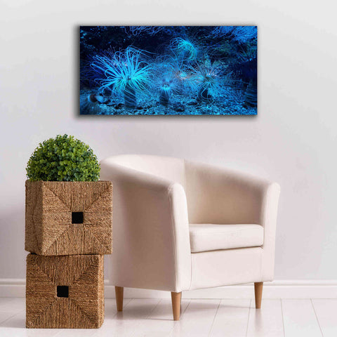Image of 'Anemone Jungle' by Epic Portfolio, Giclee Canvas Wall Art,40x20