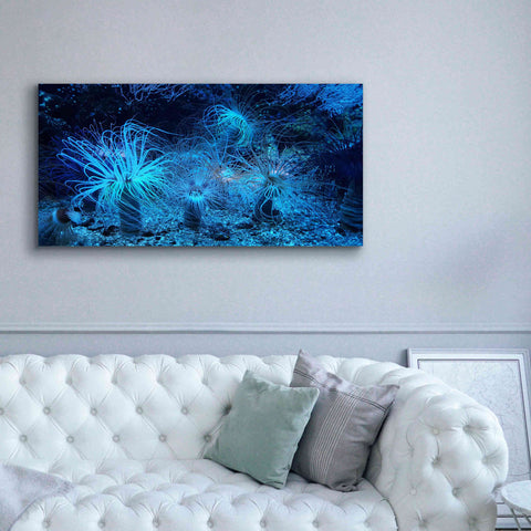 Image of 'Anemone Jungle' by Epic Portfolio, Giclee Canvas Wall Art,60x30