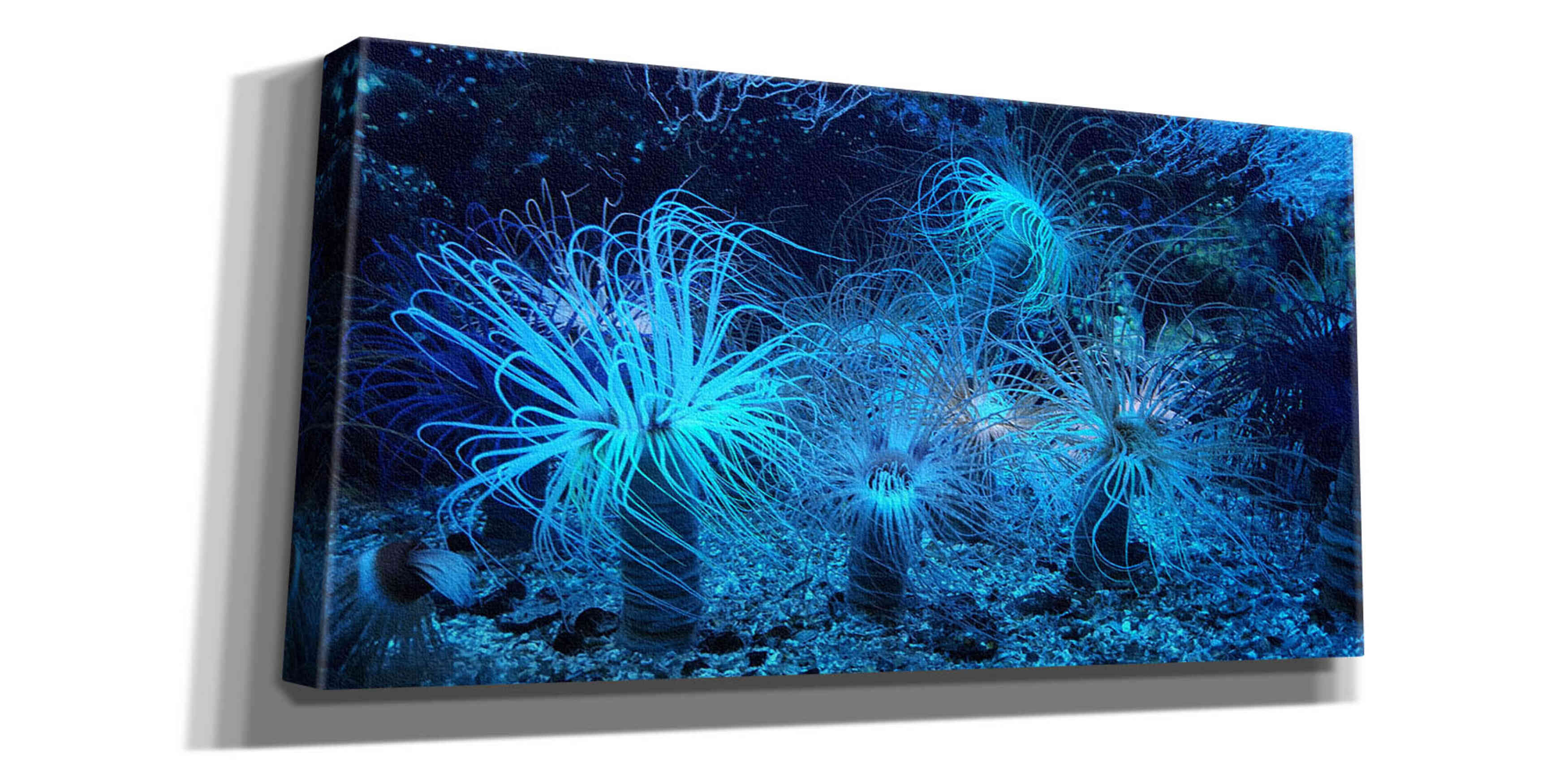 'Anemone Jungle' by Epic Portfolio, Giclee Canvas Wall Art