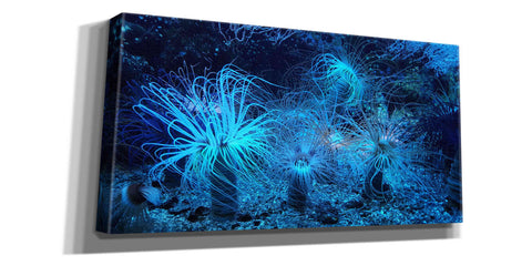 Image of 'Anemone Jungle' by Epic Portfolio, Giclee Canvas Wall Art