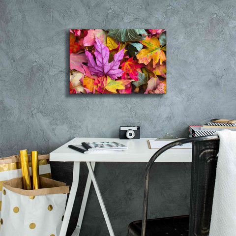 Image of 'Beautiful Fall' by Epic Portfolio, Giclee Canvas Wall Art,18x12