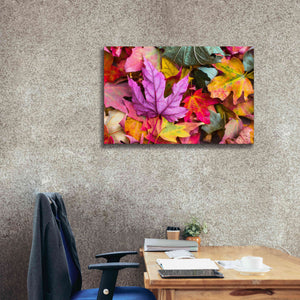 'Beautiful Fall' by Epic Portfolio, Giclee Canvas Wall Art,40x26