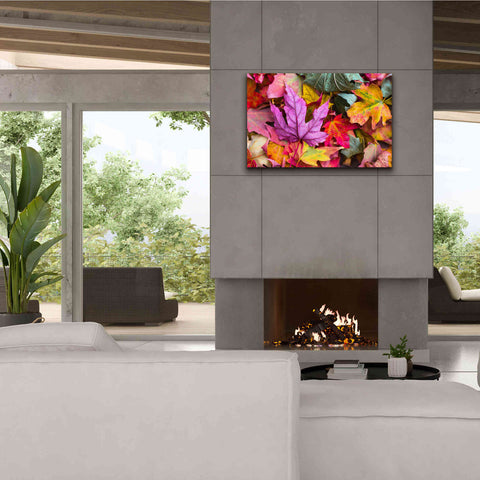 Image of 'Beautiful Fall' by Epic Portfolio, Giclee Canvas Wall Art,40x26