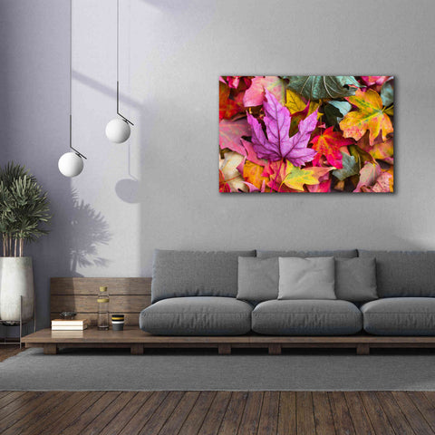 Image of 'Beautiful Fall' by Epic Portfolio, Giclee Canvas Wall Art,60x40