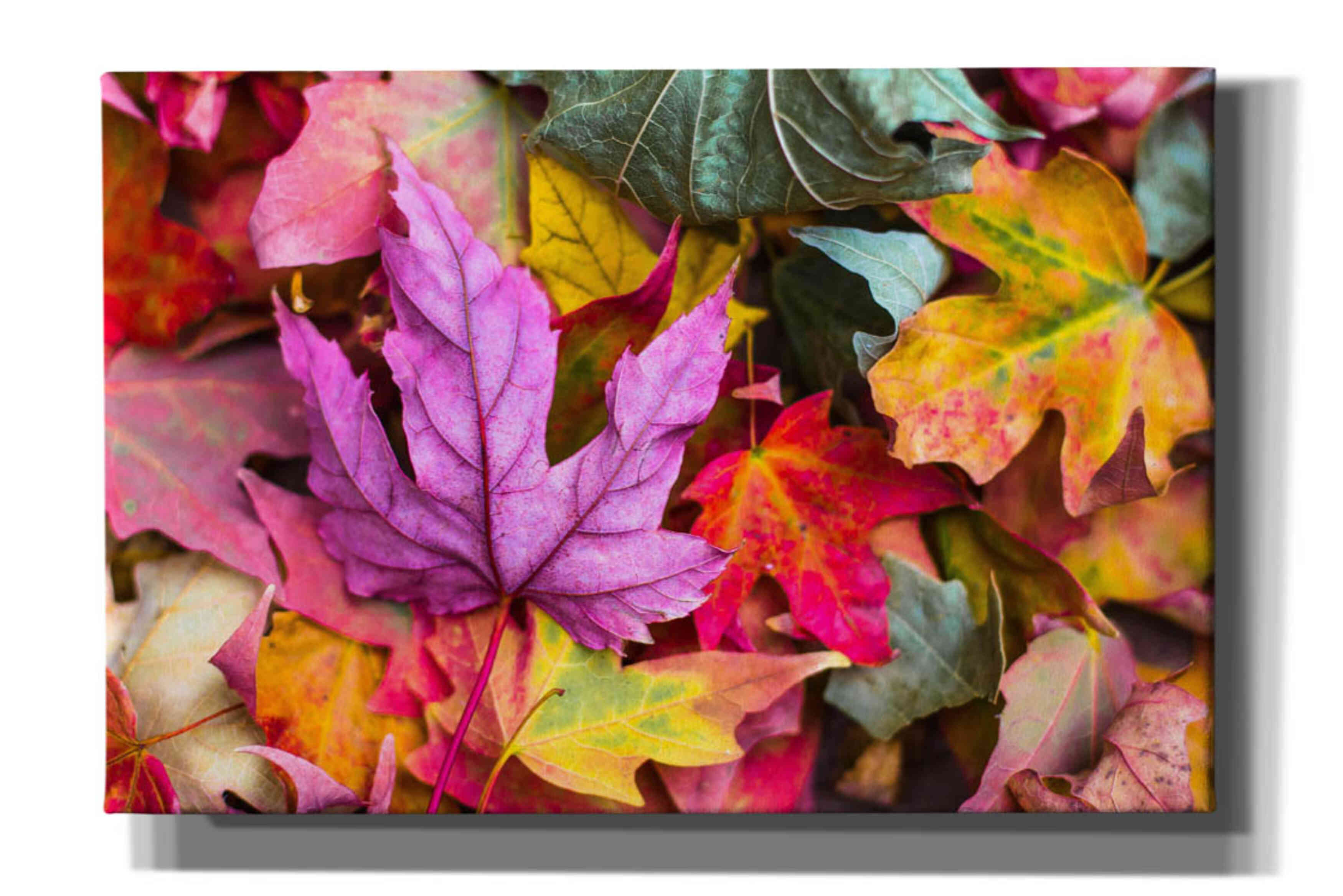 'Beautiful Fall' by Epic Portfolio, Giclee Canvas Wall Art
