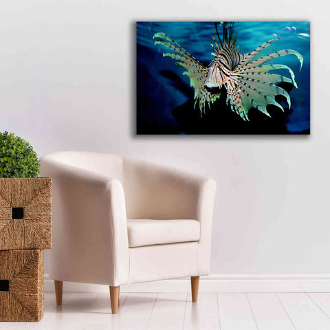 Image of 'Boo' by Epic Portfolio, Giclee Canvas Wall Art,40x26