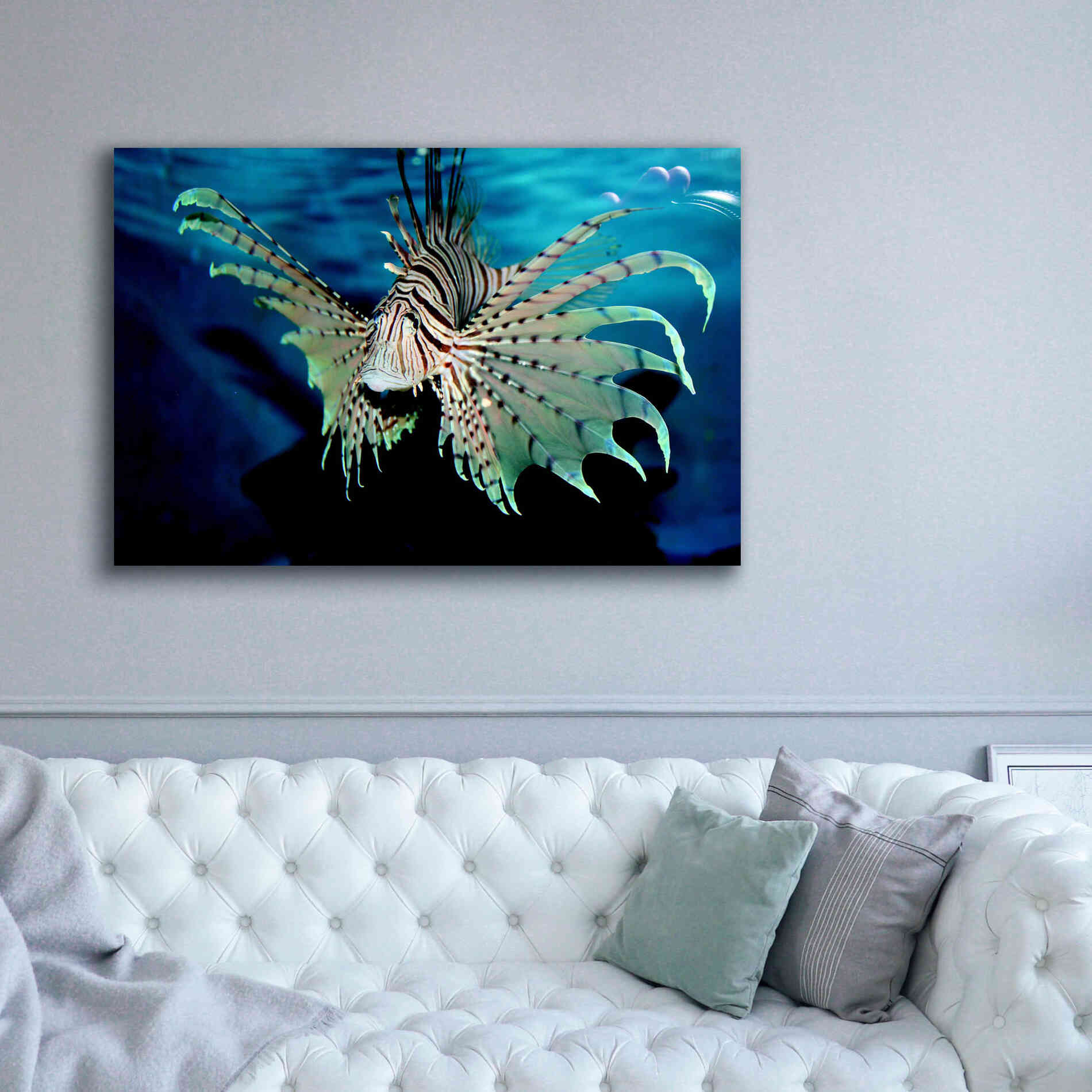 'Boo' by Epic Portfolio, Giclee Canvas Wall Art,60x40