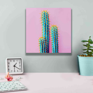 'Bubble Gum Cactus' by Epic Portfolio, Giclee Canvas Wall Art,12x12