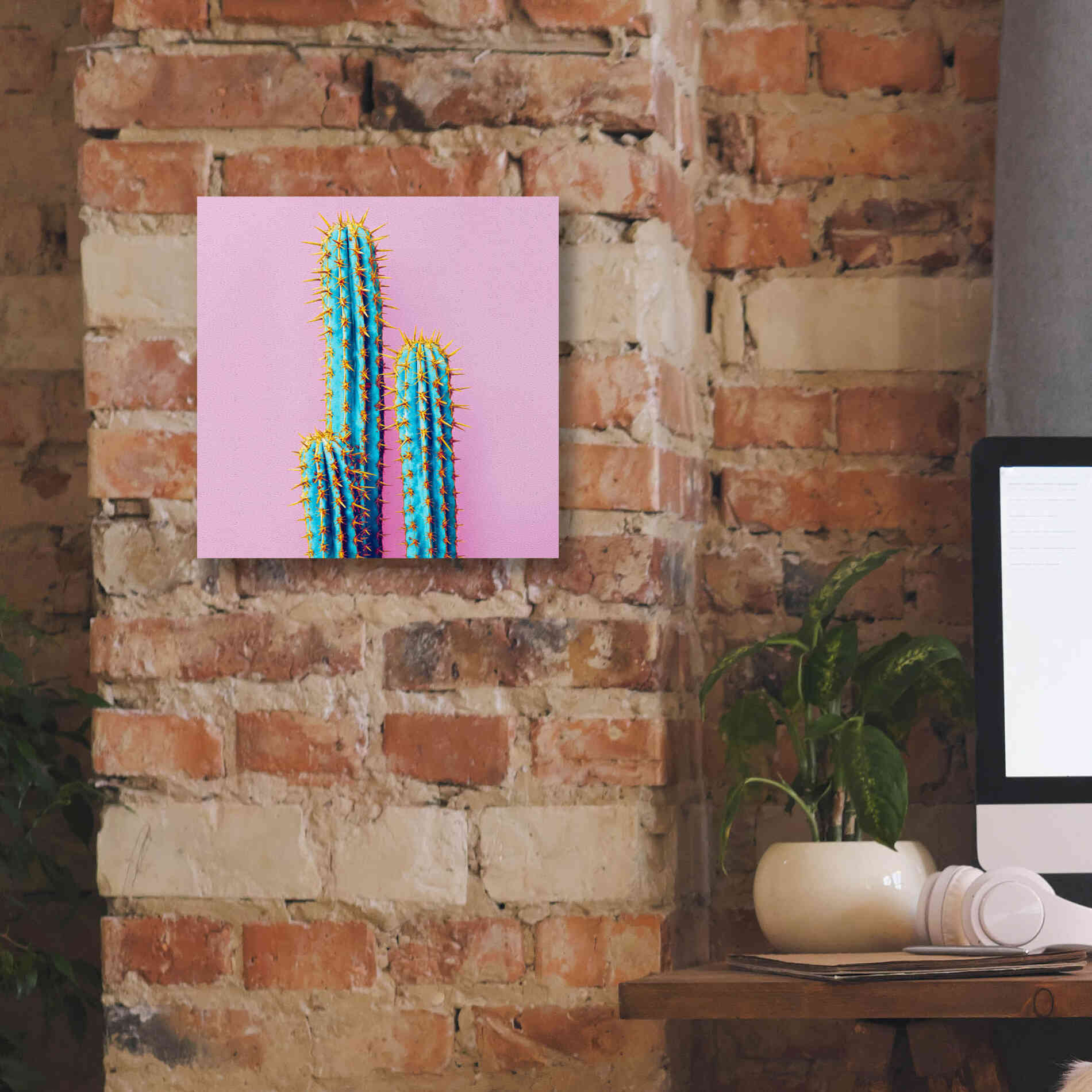 'Bubble Gum Cactus' by Epic Portfolio, Giclee Canvas Wall Art,12x12