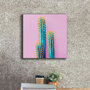 'Bubble Gum Cactus' by Epic Portfolio, Giclee Canvas Wall Art,18x18