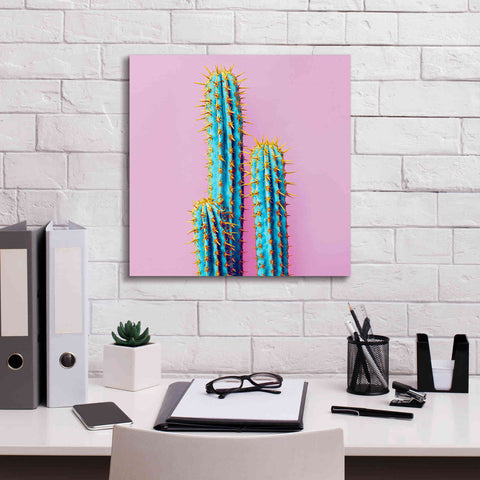 Image of 'Bubble Gum Cactus' by Epic Portfolio, Giclee Canvas Wall Art,18x18