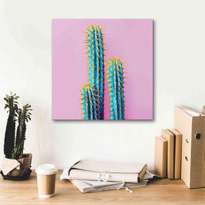'Bubble Gum Cactus' by Epic Portfolio, Giclee Canvas Wall Art,18x18